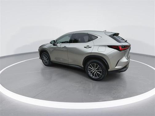 2024 Lexus NX 250 Premium