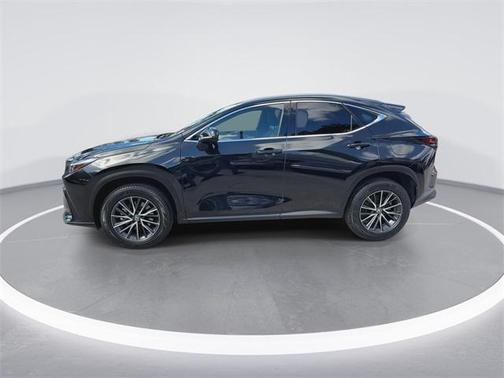 2024 Lexus NX 250 Premium