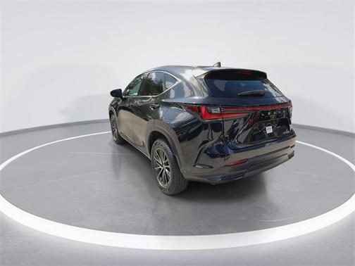2024 Lexus NX 250 Premium