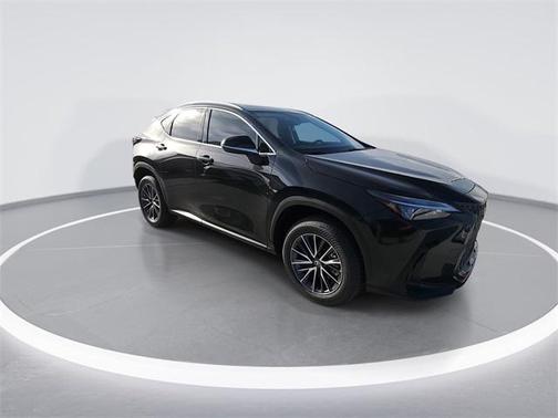 2025 Lexus NX 250 Premium