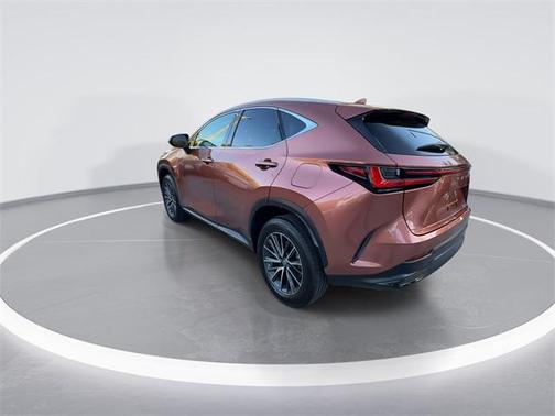2025 Lexus NX 250 Premium