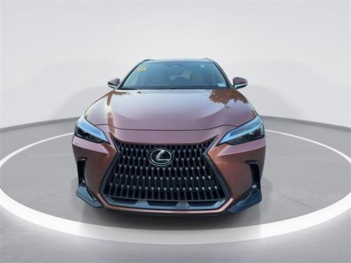 2025 Lexus NX 250 Premium