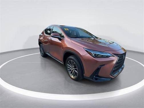 2025 Lexus NX 250 Premium