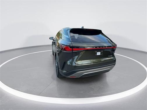 2023 Lexus RX 350 Luxury
