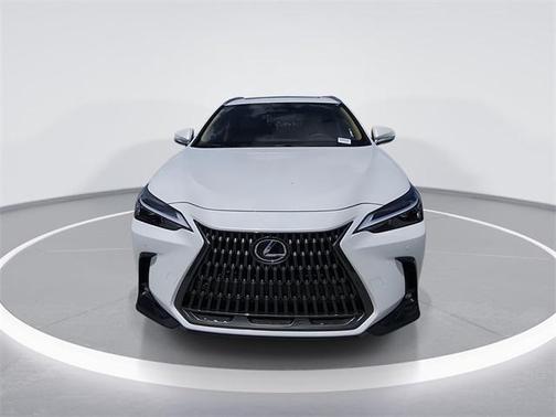 2025 Lexus NX 250 Premium