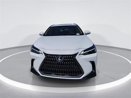 2025 Lexus NX 250 Premium