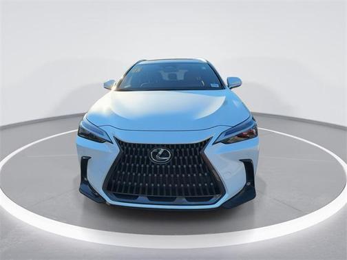 2025 Lexus NX 250 Premium