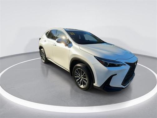 2025 Lexus NX 250 Premium