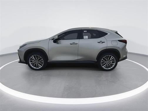2025 Lexus NX 350h Premium