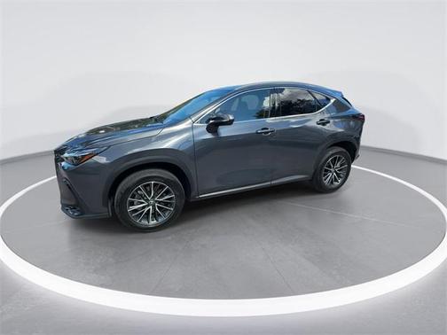 2025 Lexus NX 250 Premium