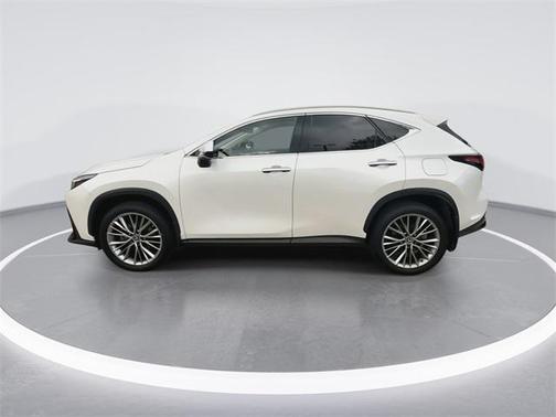2022 Lexus NX 350h Premium