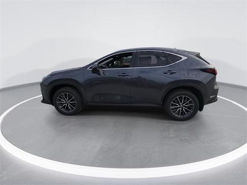 2025 Lexus NX 250 Premium