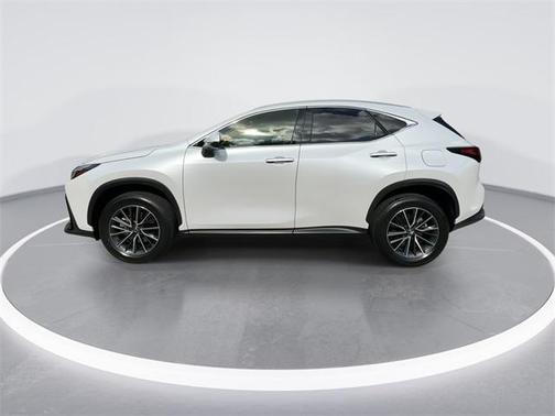 2024 Lexus NX 250 Premium
