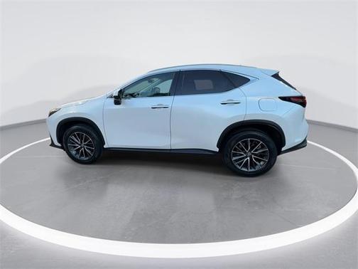2024 Lexus NX 250 Premium