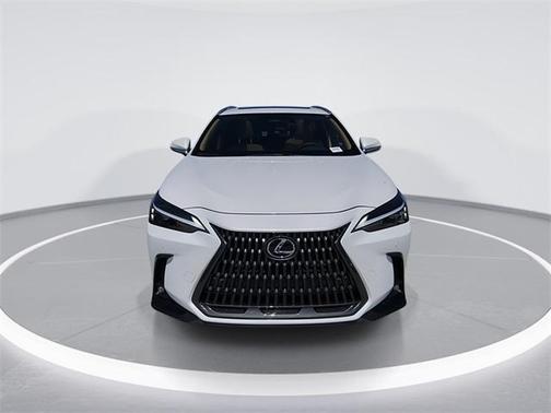 2025 Lexus NX 250 Premium