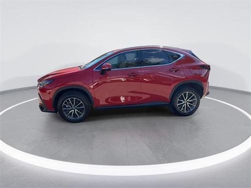 2025 Lexus NX 250 Base