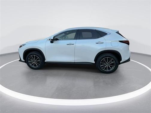 2024 Lexus NX 250 Premium
