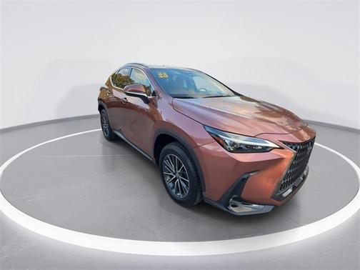 2025 Lexus NX 250 Premium