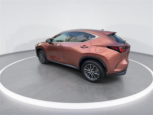 2025 Lexus NX 250 Premium