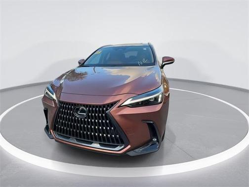 2025 Lexus NX 250 Premium
