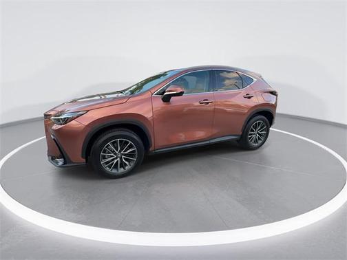 2025 Lexus NX 250 Premium