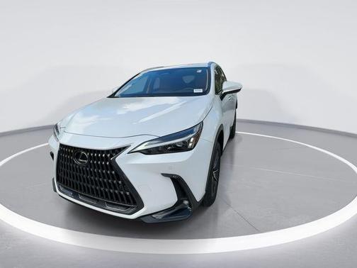 2025 Lexus NX 250 Premium