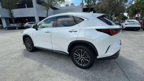 2025 Lexus NX 250 Premium