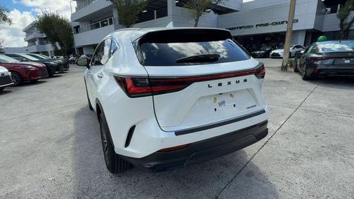 2025 Lexus NX 250 Premium