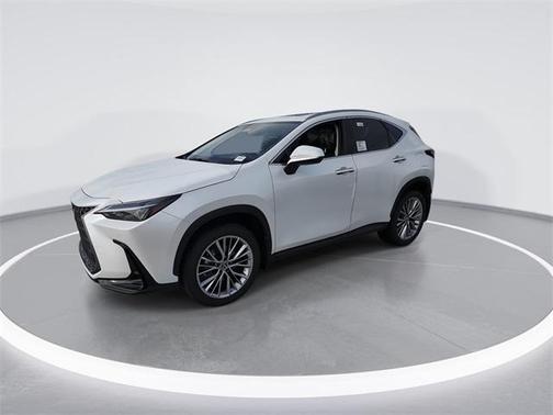 2025 Lexus NX 350h Premium
