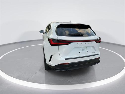 2024 Lexus NX 250 Premium