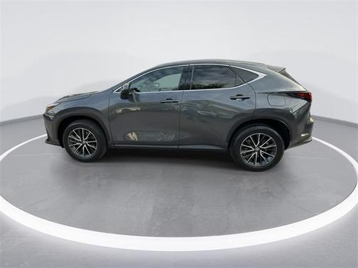 2024 Lexus NX 250 Premium