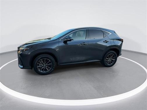 2024 Lexus NX 250 Premium