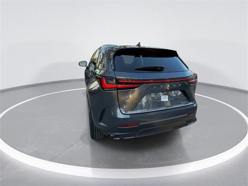 2024 Lexus NX 250 Premium