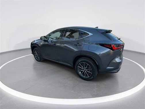 2024 Lexus NX 250 Premium