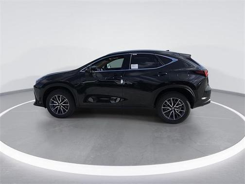 2025 Lexus NX 250 Premium