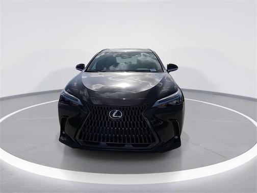 2025 Lexus NX 250 Premium