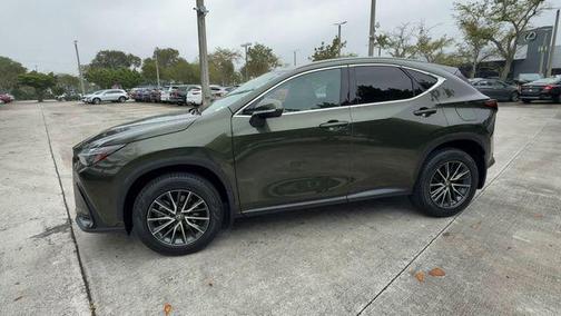 2024 Lexus NX 250 Premium
