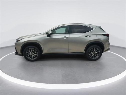 2024 Lexus NX 250 Premium