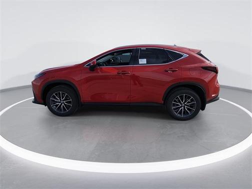 2025 Lexus NX 250 Premium
