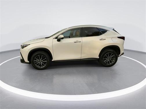 2022 Lexus NX 250 Premium