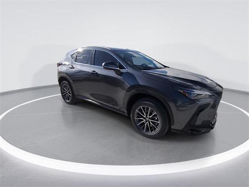2025 Lexus NX 250 Premium