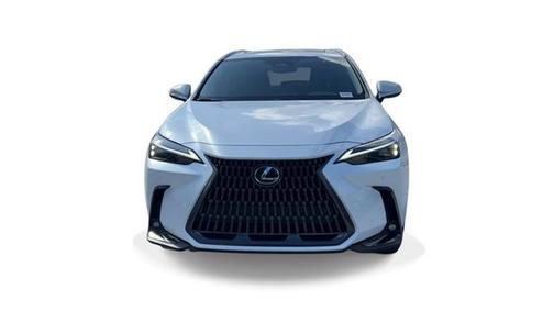 2025 Lexus NX 250 Premium