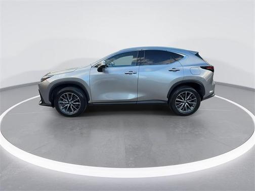 2025 Lexus NX 250 Premium