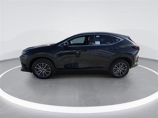 2025 Lexus NX 350h 350h Base
