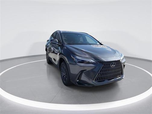 2025 Lexus NX 250 Premium