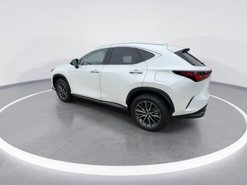 2025 Lexus NX 250 Premium