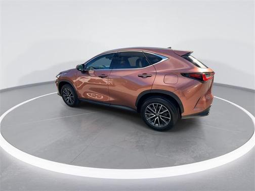 2025 Lexus NX 250 Premium