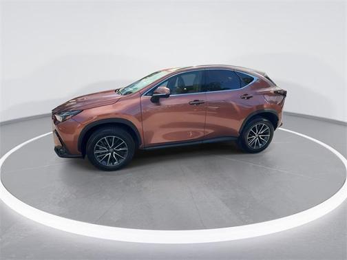 2025 Lexus NX 250 Premium