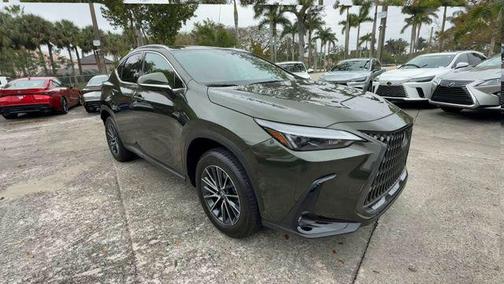 2025 Lexus NX 250 Base