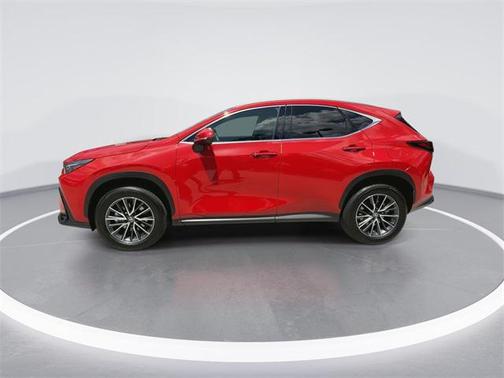 2025 Lexus NX 250 Base